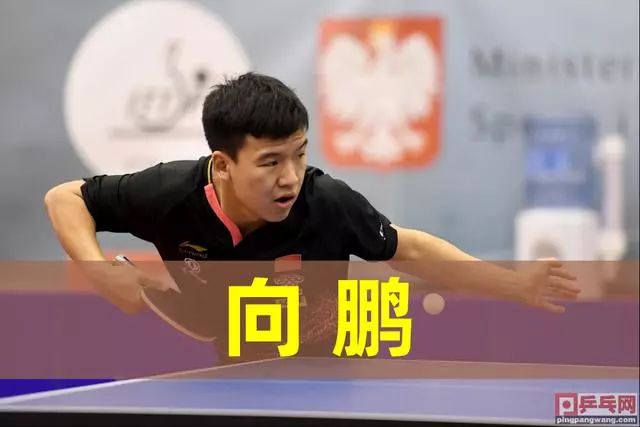 无论是站上 无论是站上