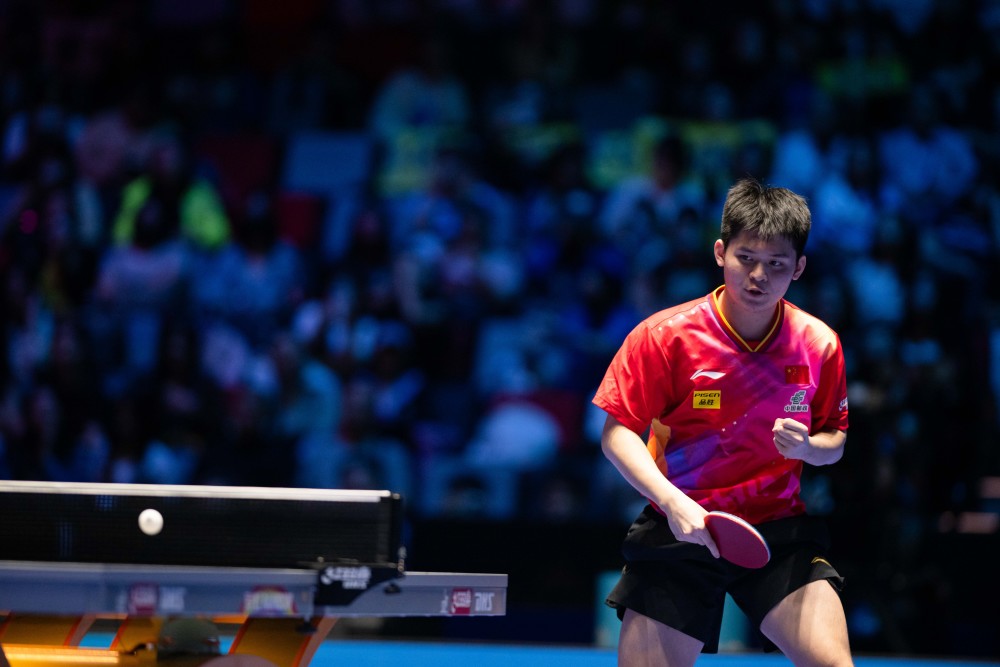 新和合作 新和合作