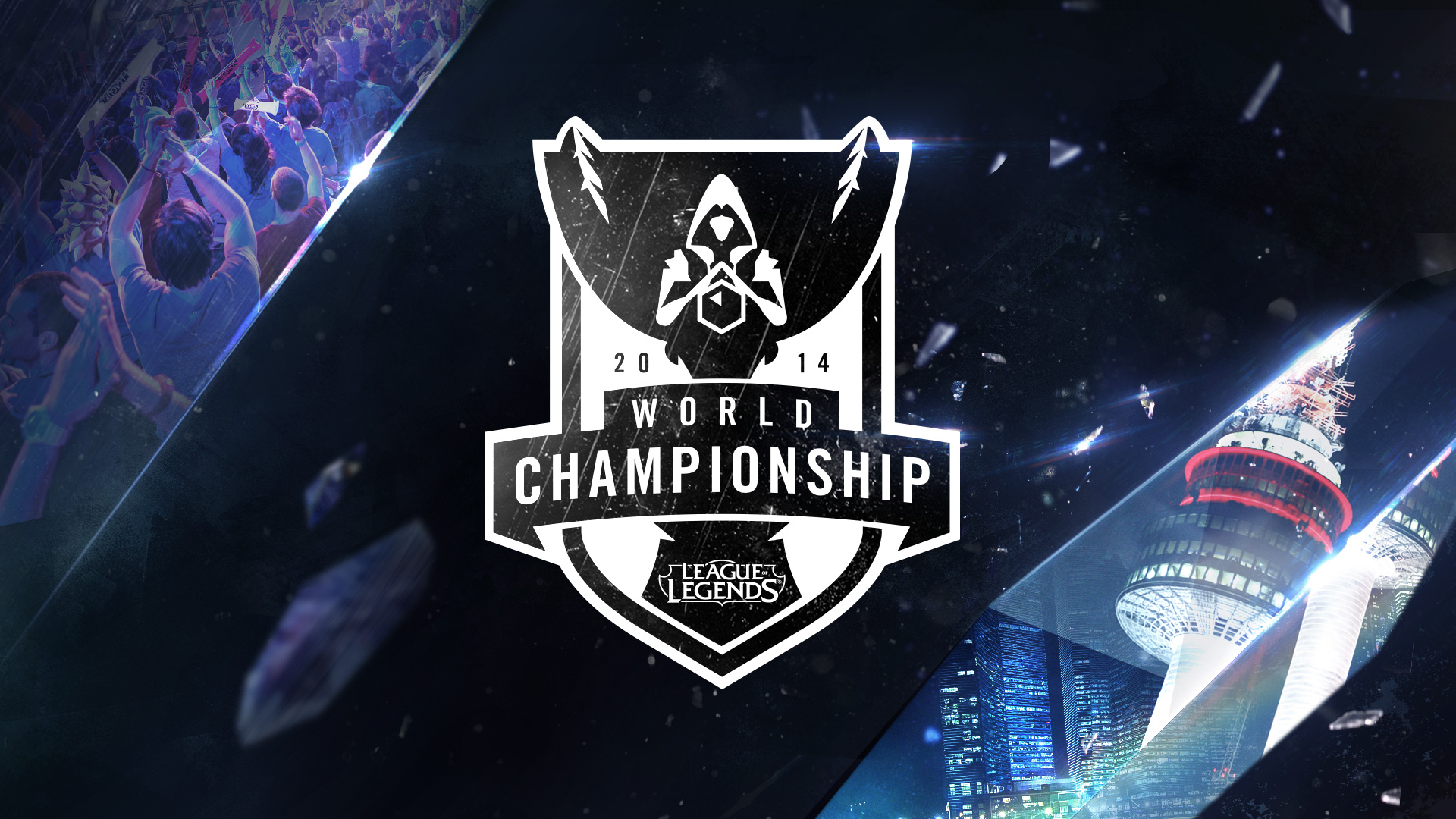 曲线往往不 曲线往往不